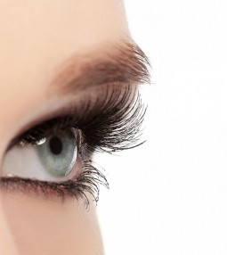 article 5 правила за красиви мигли, които почти винаги игнорирам. И не съм единствената thumbnail