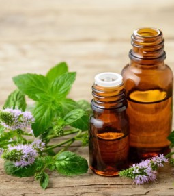 article Ароматни масла срещу вируси и болки thumbnail